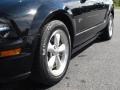 2007 Black Ford Mustang GT Deluxe Coupe  photo #6