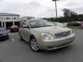 2007 Silver Birch Metallic Ford Five Hundred SEL  photo #1