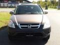 Mojave Mist Metallic - CR-V EX 4WD Photo No. 3