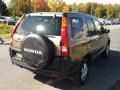 Mojave Mist Metallic - CR-V EX 4WD Photo No. 4