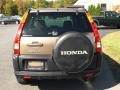 Mojave Mist Metallic - CR-V EX 4WD Photo No. 5