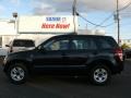 2008 Black Pearl Metallic Suzuki Grand Vitara   photo #1