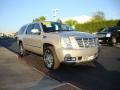 Quicksilver - Escalade ESV AWD Photo No. 4