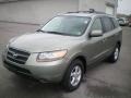 Natural Khaki Green - Santa Fe GLS Photo No. 1