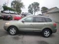 Natural Khaki Green - Santa Fe GLS Photo No. 7