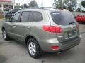 Natural Khaki Green - Santa Fe GLS Photo No. 8