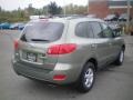 Natural Khaki Green - Santa Fe GLS Photo No. 10