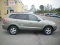 Natural Khaki Green - Santa Fe GLS Photo No. 11