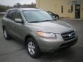 Natural Khaki Green - Santa Fe GLS Photo No. 12
