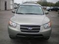 Natural Khaki Green - Santa Fe GLS Photo No. 13