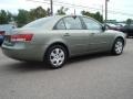Natural Khaki Green - Sonata GLS Photo No. 6