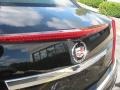 Black Raven - CTS Sedan Photo No. 15