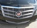 Black Raven - CTS Sedan Photo No. 20