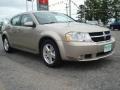 Light Sandstone Metallic - Avenger SXT Photo No. 7