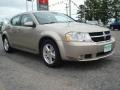 2009 Light Sandstone Metallic Dodge Avenger SXT  photo #7