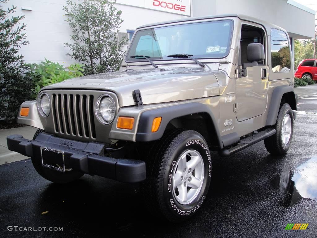 2004 Wrangler X 4x4 - Light Khaki Metallic / Khaki photo #3