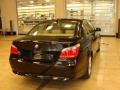 Jet Black - 5 Series 530xi Sedan Photo No. 5