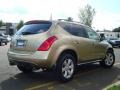 2006 Chardonnay Metallic Nissan Murano SL AWD  photo #10