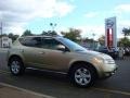 2006 Chardonnay Metallic Nissan Murano SL AWD  photo #12