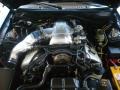 Black - Mustang SVT Cobra Convertible Photo No. 19