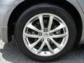 Platinum Graphite Gray - G 35 x Sedan Photo No. 31