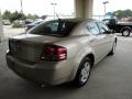 White Gold - Avenger SXT Photo No. 5