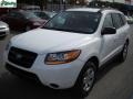 2009 Powder White Pearl Hyundai Santa Fe GLS 4WD  photo #15