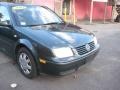 Alaska Green Metallic - Jetta GL 1.8T Sedan Photo No. 18