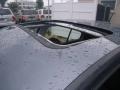 Platinum Grey Metallic - Jetta GLI 2.8 Sedan Photo No. 19