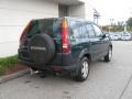 2004 Clover Green Pearl Honda CR-V EX 4WD  photo #3