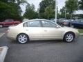 Velvet Beige - Altima 3.5 SE Photo No. 7