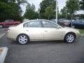 2002 Velvet Beige Nissan Altima 3.5 SE  photo #7