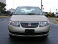 Golden Cashmere - ION 2 Sedan Photo No. 15