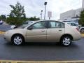 Golden Cashmere - ION 2 Sedan Photo No. 18