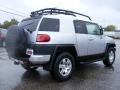 Titanium Metallic - FJ Cruiser 4WD Photo No. 3