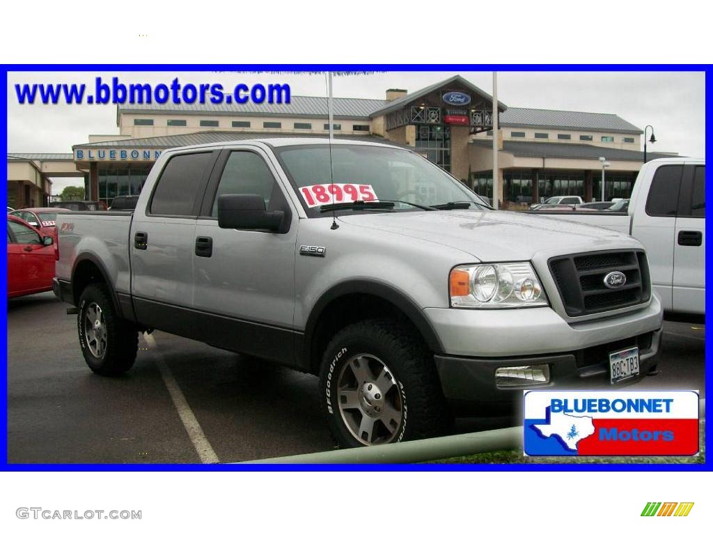 2005 F150 FX4 SuperCrew 4x4 - Silver Metallic / Medium Flint Grey photo #4