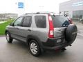 2005 Pewter Pearl Honda CR-V EX 4WD  photo #3