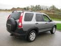 2005 Pewter Pearl Honda CR-V EX 4WD  photo #5