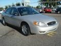 2006 Silver Frost Metallic Ford Taurus SE  photo #7