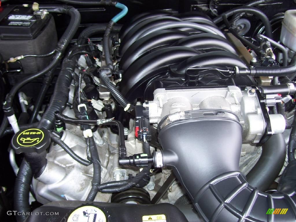 2007 Mustang GT Premium Coupe - Black / Dark Charcoal photo #11