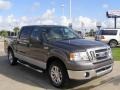 Dark Shadow Grey Metallic - F150 XLT SuperCrew Photo No. 7