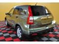 2007 Green Tea Metallic Honda CR-V EX 4WD  photo #4