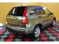 2007 Green Tea Metallic Honda CR-V EX 4WD  photo #6