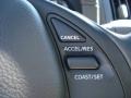 Platinum Graphite Metallic - G 35 Sedan Photo No. 23