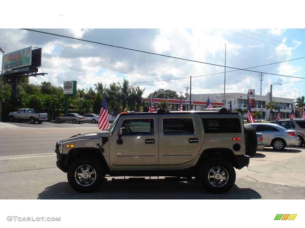 2003 H2 SUV - Pewter Metallic / Wheat photo #2