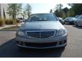 Palladium Silver Metallic - C 300 Luxury Photo No. 14