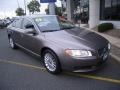 Oyster Gray Metallic - S80 3.2 Photo No. 7