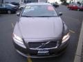 Oyster Gray Metallic - S80 3.2 Photo No. 8