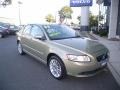 Gecko Green Metallic - S40 T5 AWD Photo No. 1