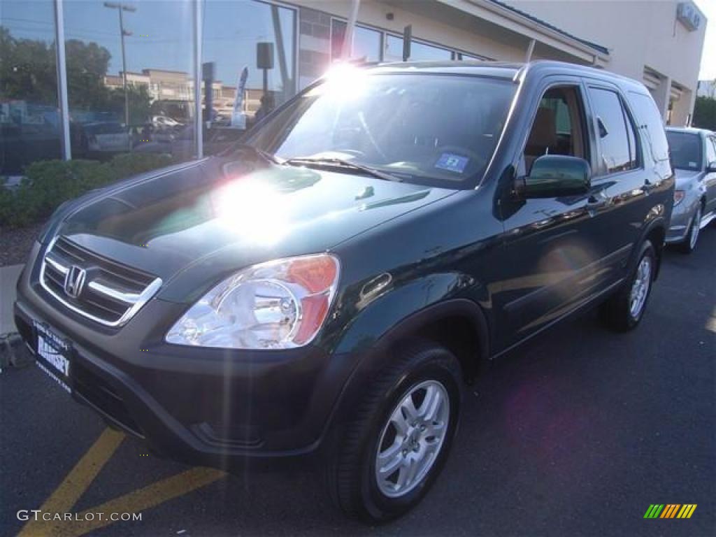 2003 CR-V EX 4WD - Clover Green Pearl / Saddle photo #1